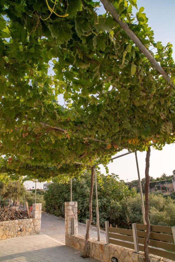 Hello Village Chania Sfakianalion Buitenkant foto